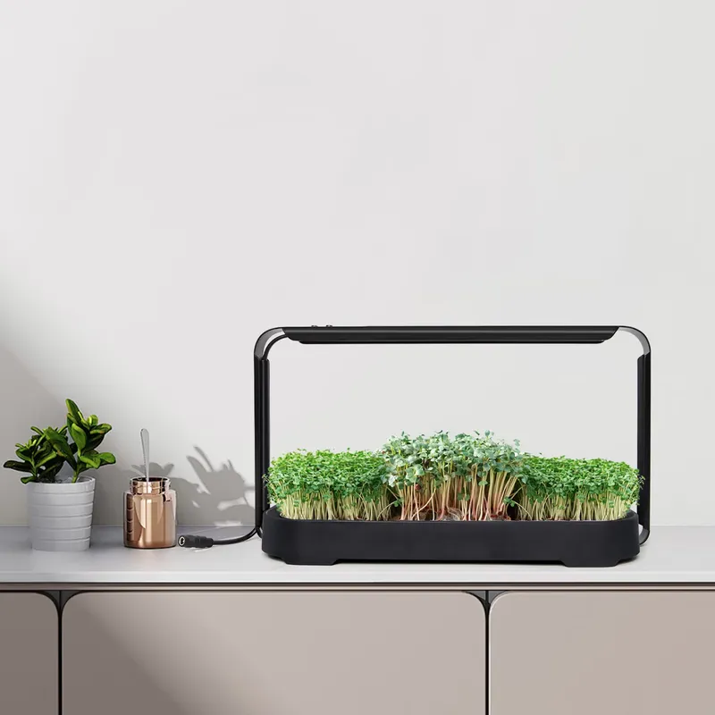Self Watering Planter - Sistema de Cultivo Hidropônico com Autoirrigação