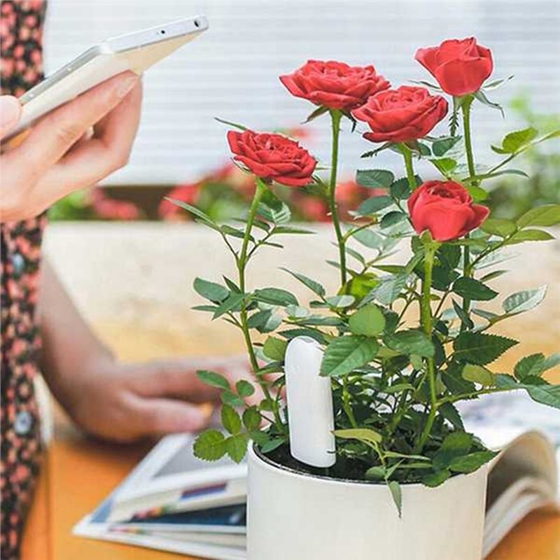 Plant Sensor - ABVG-Flora Monitor Inteligente de Flores, Cuidados