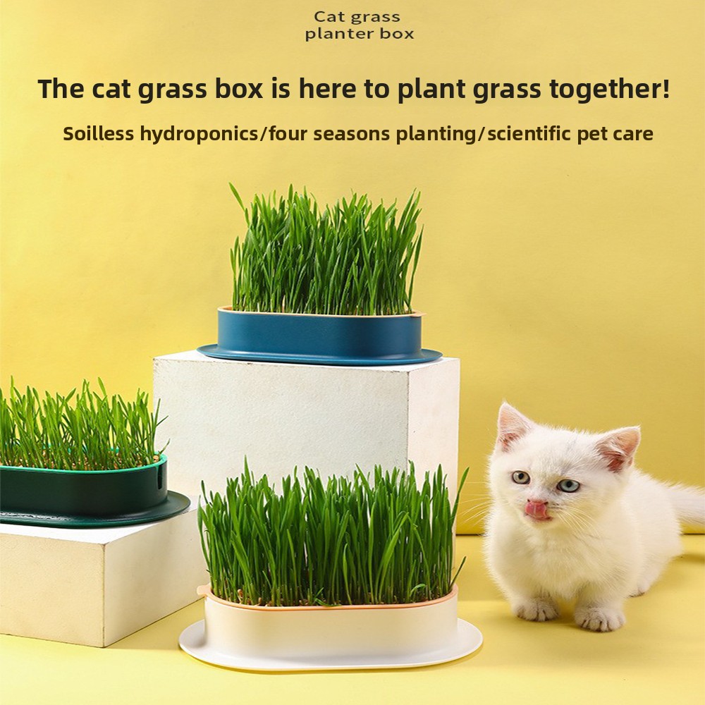 Hydroponic Grow Pod - Suprimentos para animais de estimação lanches