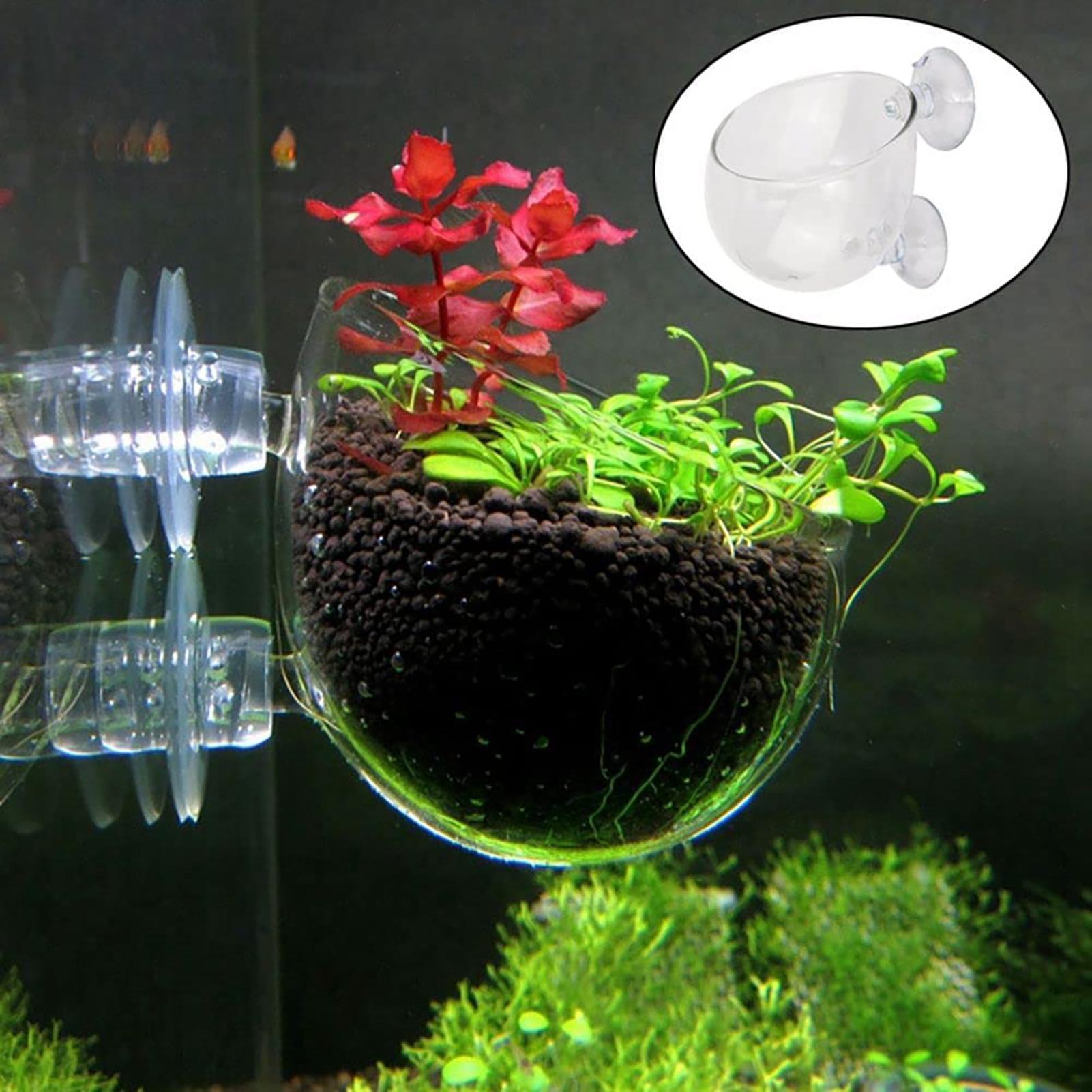 Hydroponic Grow Pod - Vaso de plantas aquáticas, plantador de