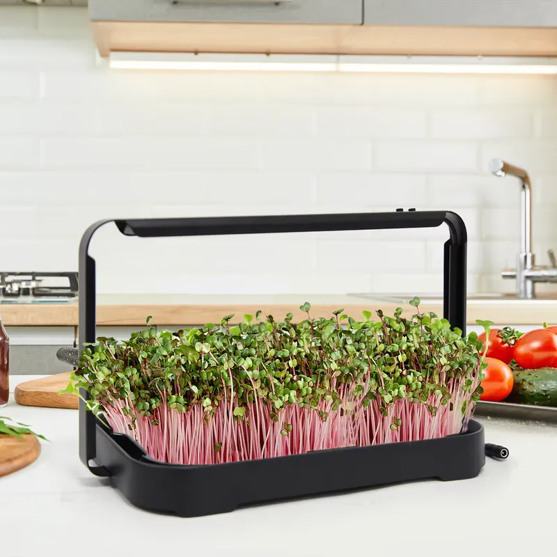 Indoor Garden Kit - Bandeja Hidropônica para Cultivo Interno de