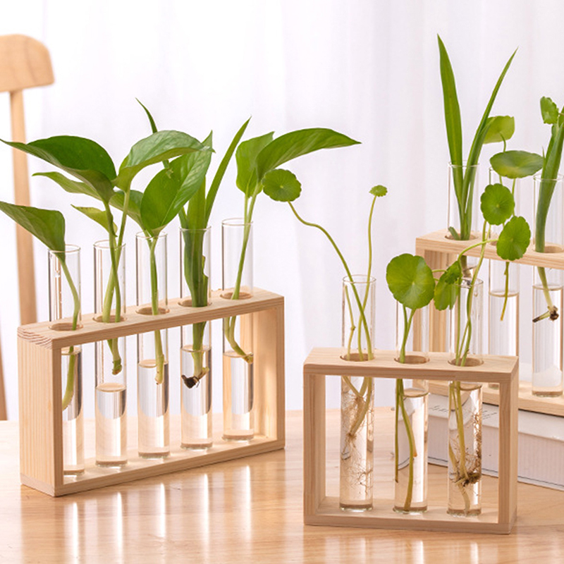 Hydroponic Grow Pod - Recipiente de plantas hidropônicas com moldura