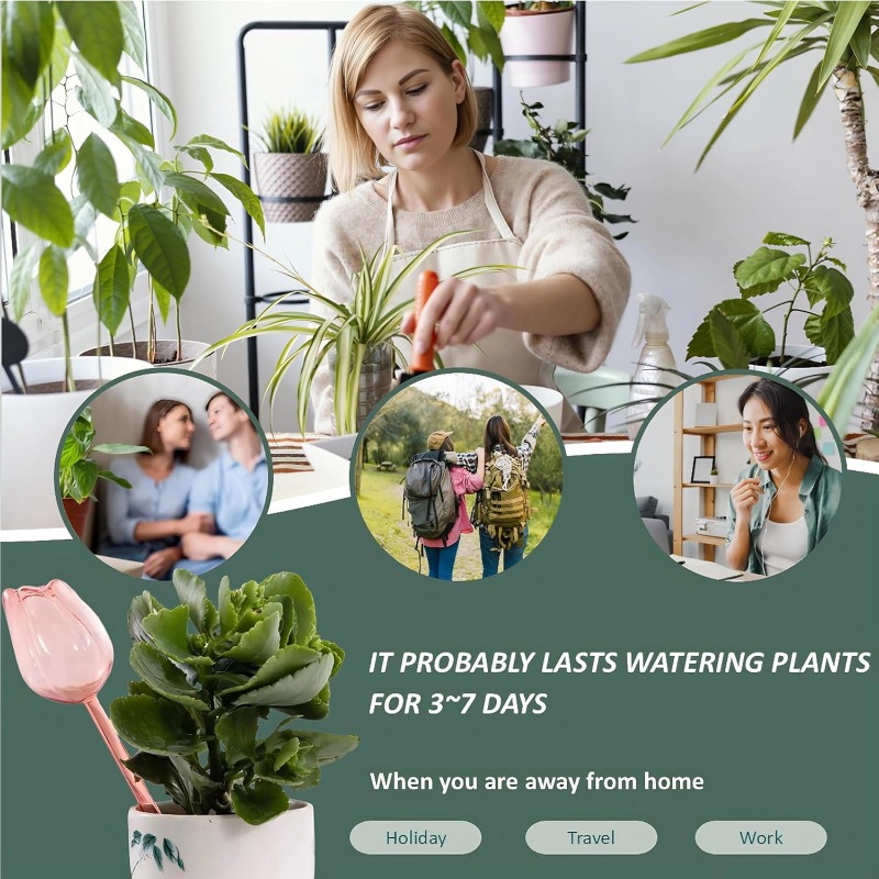 Bolas de Rega para Plantas Tul - Plant Sensor avaliação e preço