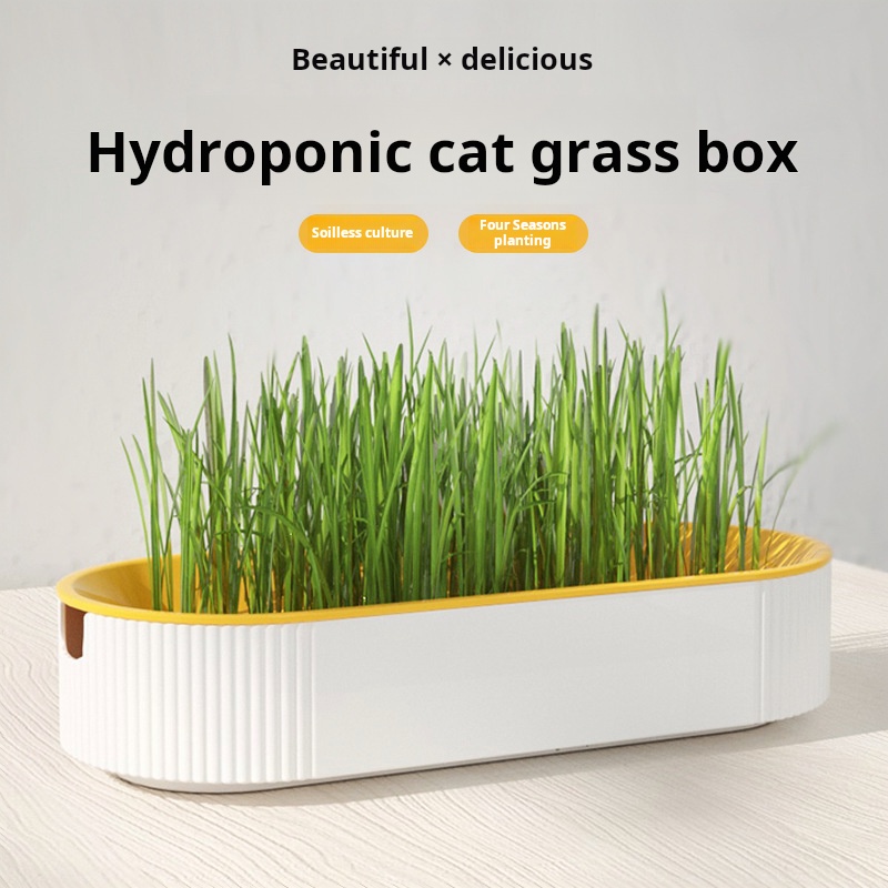 Kit Hidropônico de Grama para  - Hydroponic Grow Pod avaliação e preço