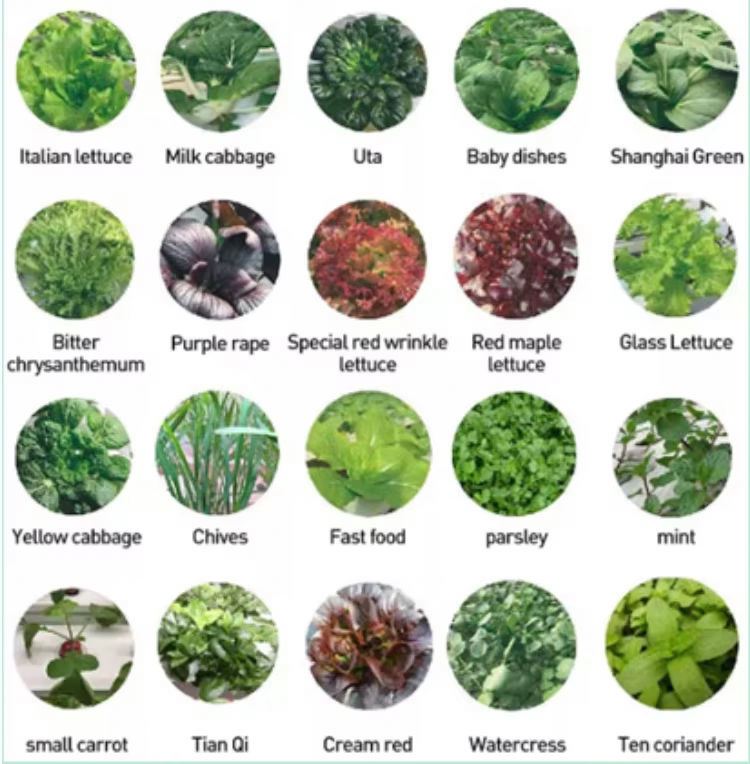 Sistema de cultivo vertical hi - Hydroponic Tower avaliação e preço