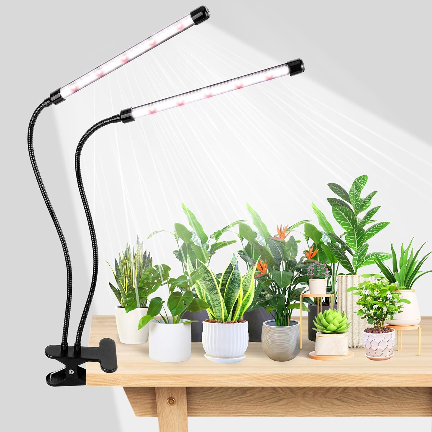 KEBINCPLED Luz LED de Crescime - Hydroponic Grow Pod avaliação e preço
