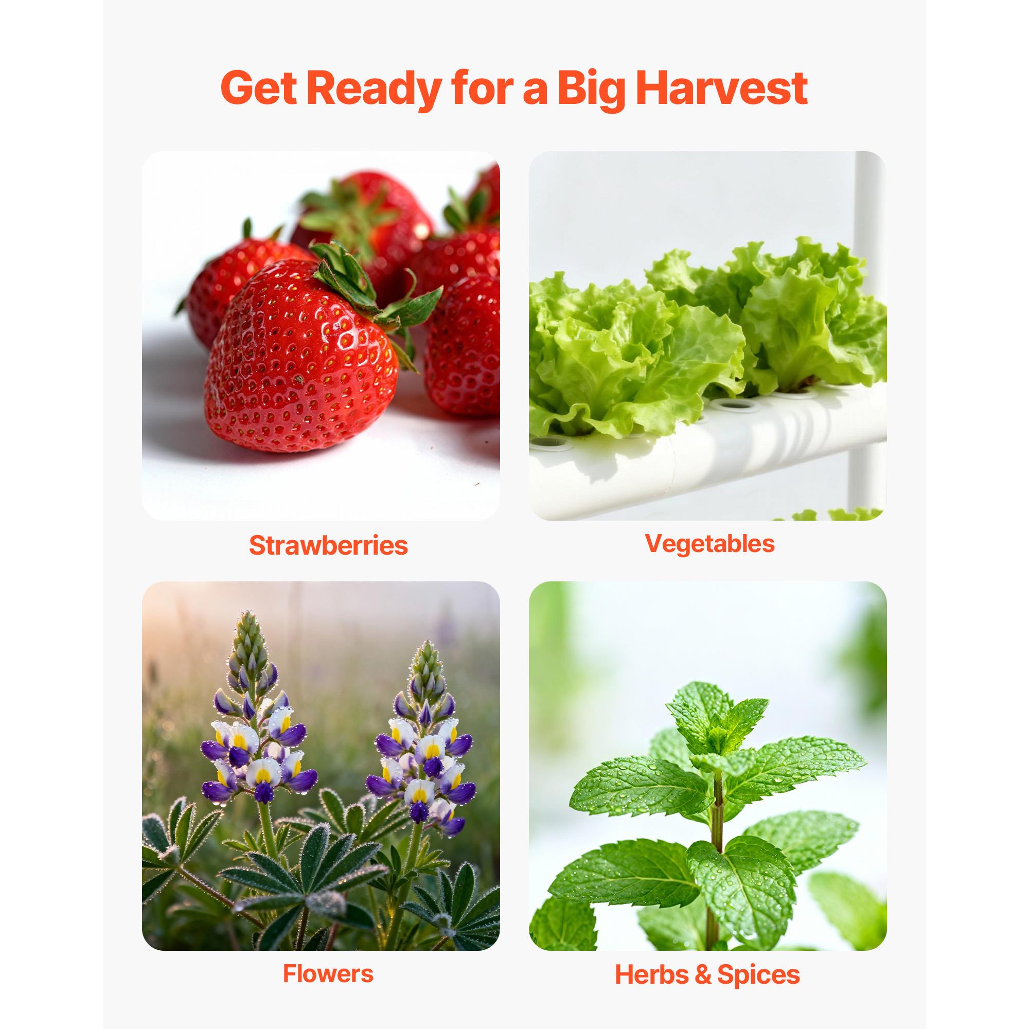 Kit de sistema de cultivo hidr - Indoor Garden Kit avaliação e preço