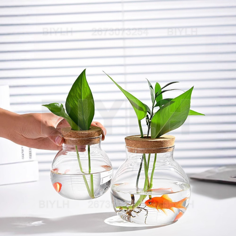 Vaso de vidro para plantas hid - Hydroponic Grow Pod avaliação e preço