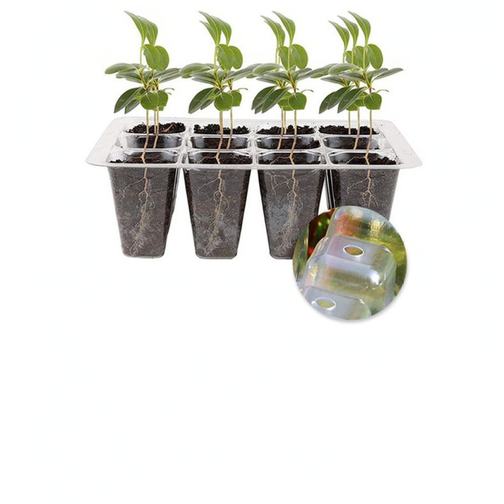 Kit de iniciação para cultivo  - Indoor Garden Kit avaliação e preço