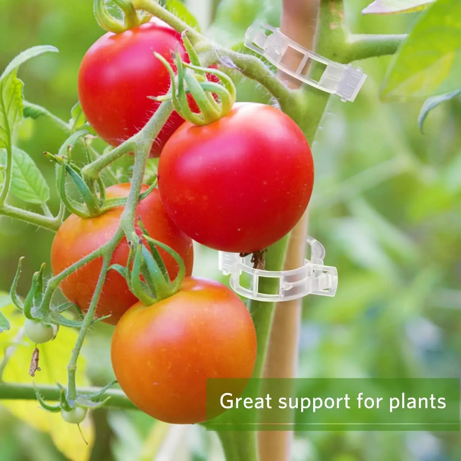 Clipes de Suporte para Plantas - Smart Garden Kit avaliação e preço