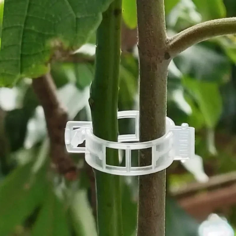 Clipes de Suporte para Plantas - Smart Garden Kit avaliação e preço
