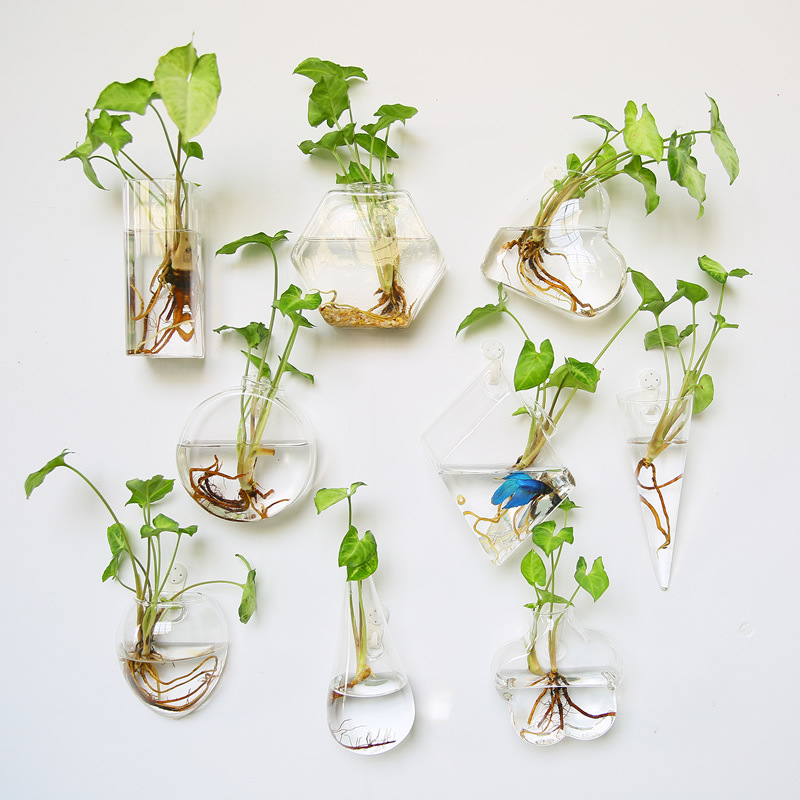 Terrário de vidro para pendura - Self Watering Planter avaliação e preço
