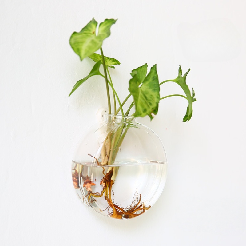 Terrário de vidro para pendura - Self Watering Planter avaliação e preço