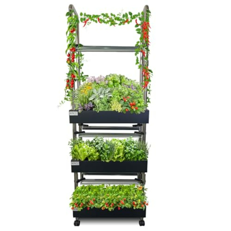 Sistema de cultivo hidropônico - Smart Garden System avaliação e preço
