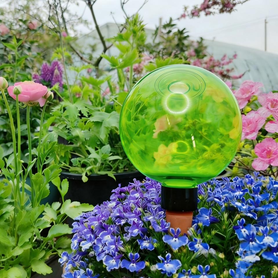 3 Globos Grandes de Autoirriga - Self Watering Planter avaliação e preço
