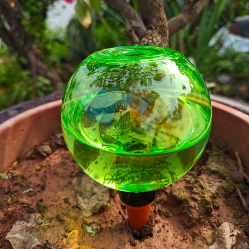 3 Globos Grandes de Autoirriga - Self Watering Planter avaliação e preço