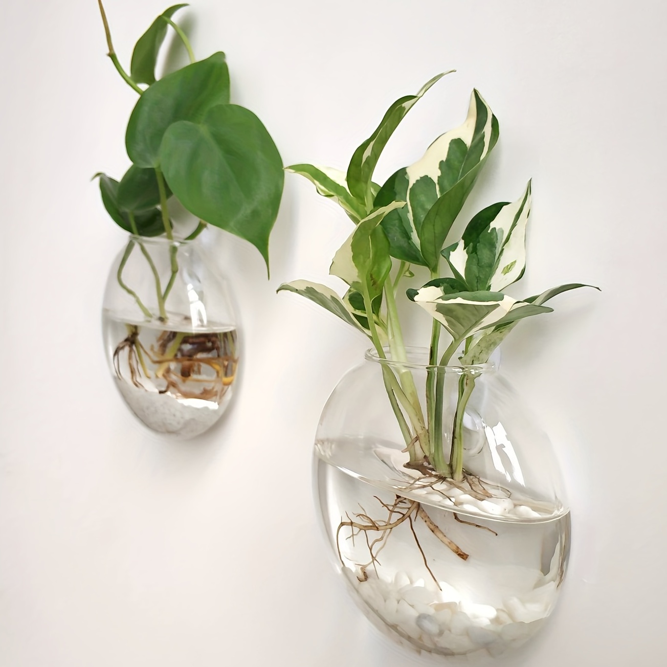 Vaso de flores de terrário par - Hydroponic Grow Pod avaliação e preço