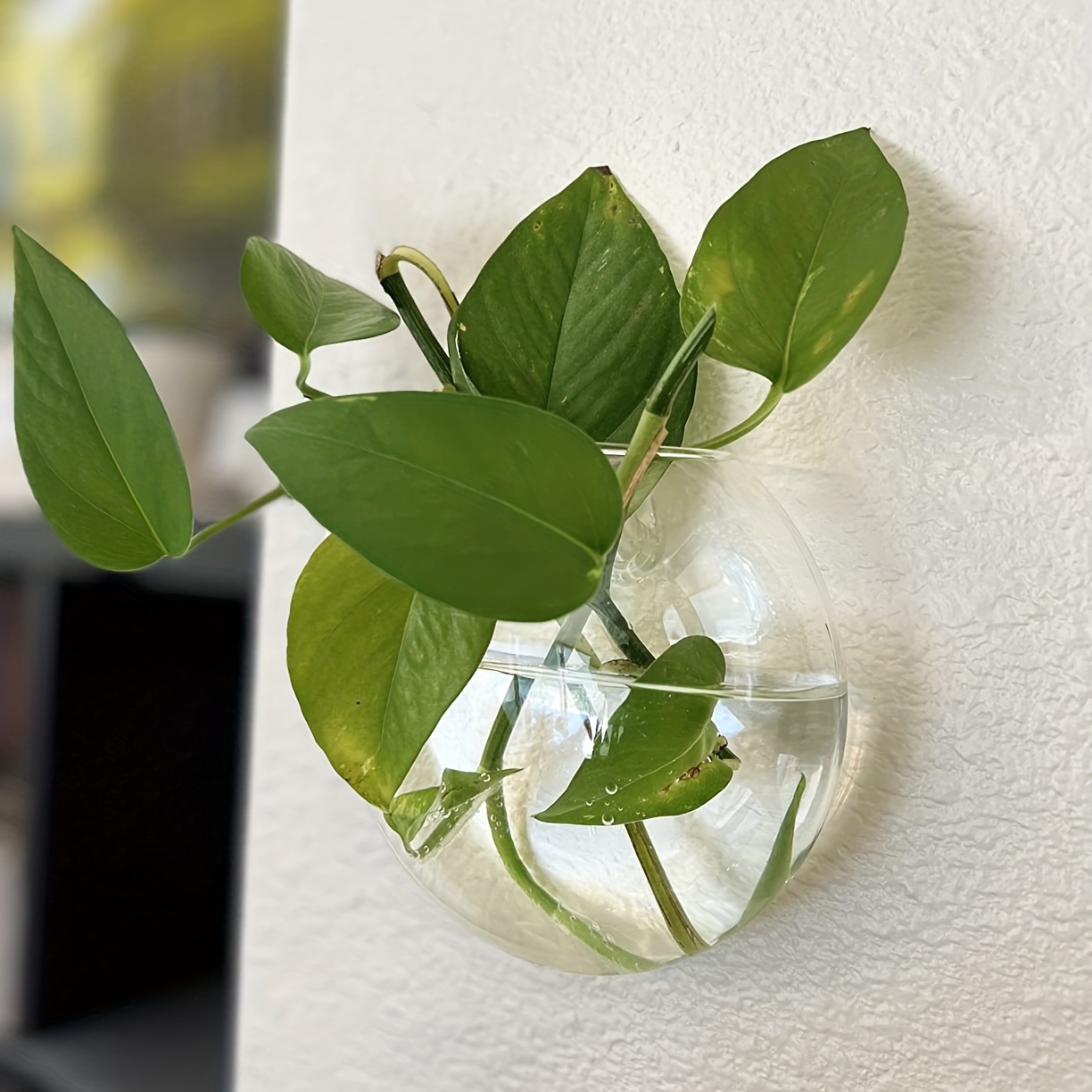 Vaso de flores de terrário par - Hydroponic Grow Pod avaliação e preço