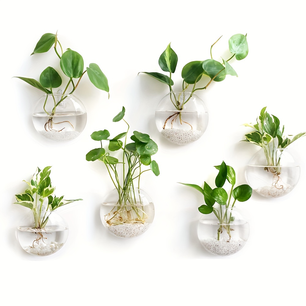 Vaso de flores de terrário par - Hydroponic Grow Pod avaliação e preço