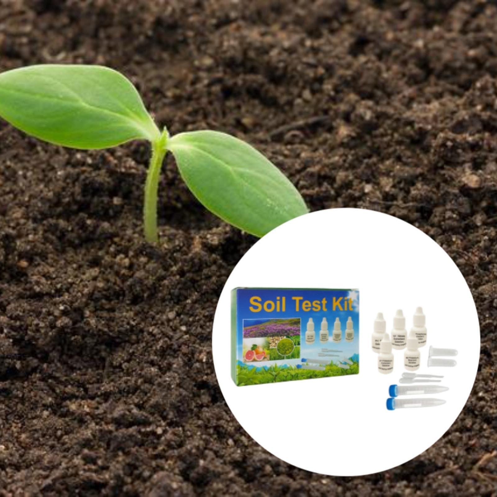 Kit de Teste de Solo, Fácil de - Indoor Garden Kit avaliação e preço