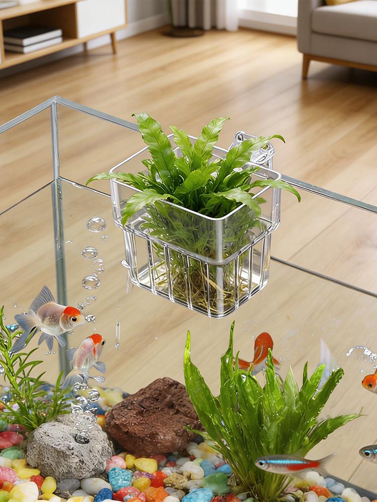 Suporte Transparente para Plan - Hydroponic Grow Pod avaliação e preço