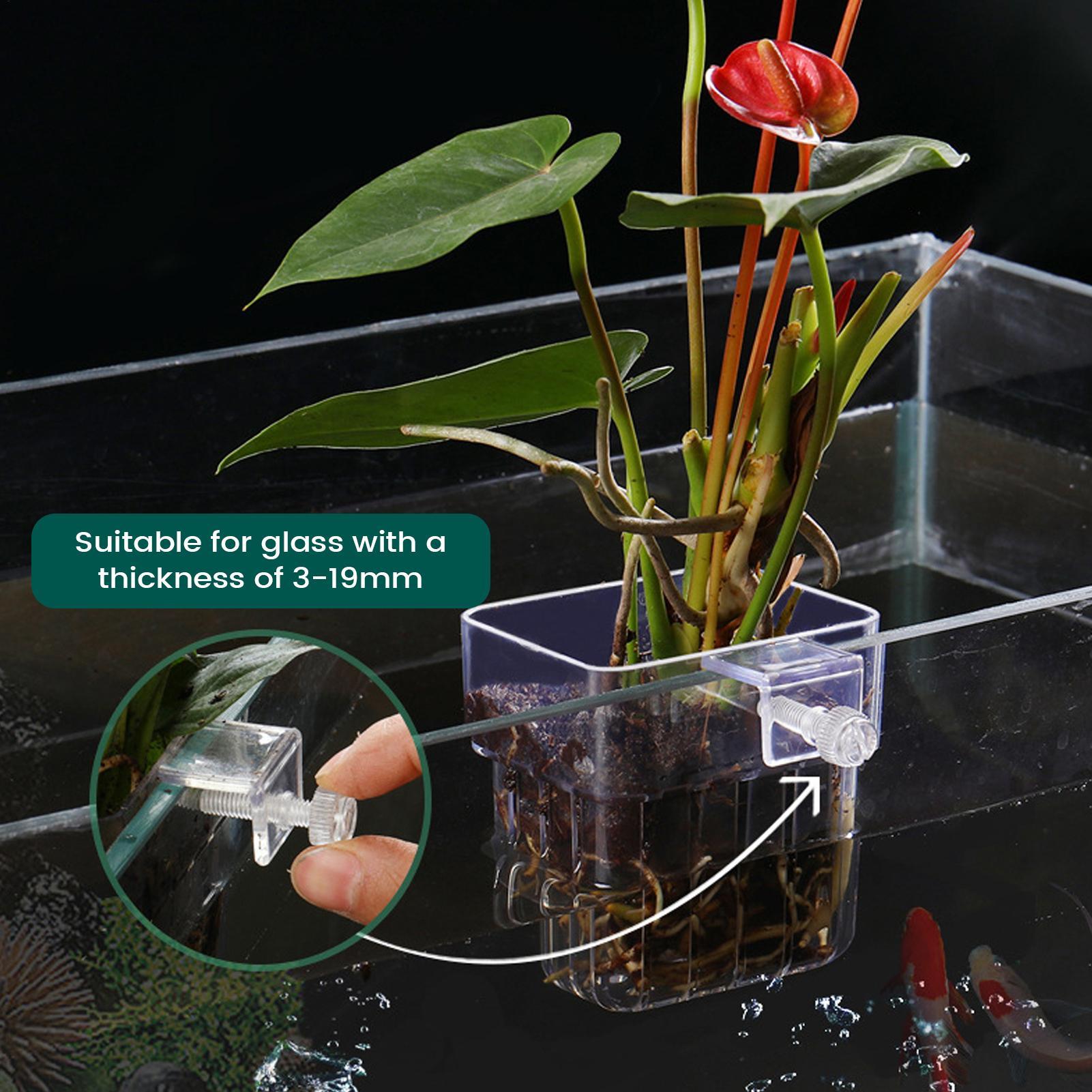 Suporte Transparente para Plan - Hydroponic Grow Pod avaliação e preço