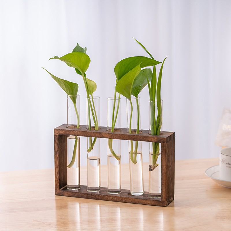 Recipiente de plantas hidropôn - Hydroponic Grow Pod avaliação e preço